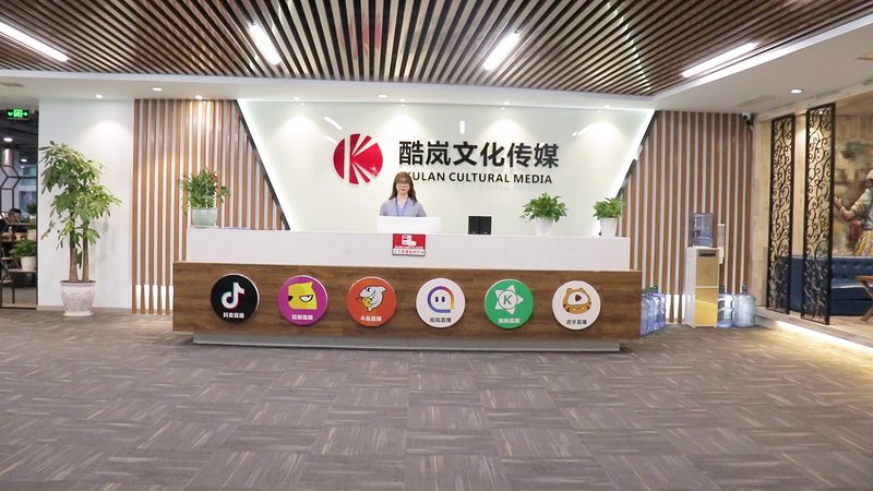 成都TVC广告片制作：揭秘报价背后的秘密